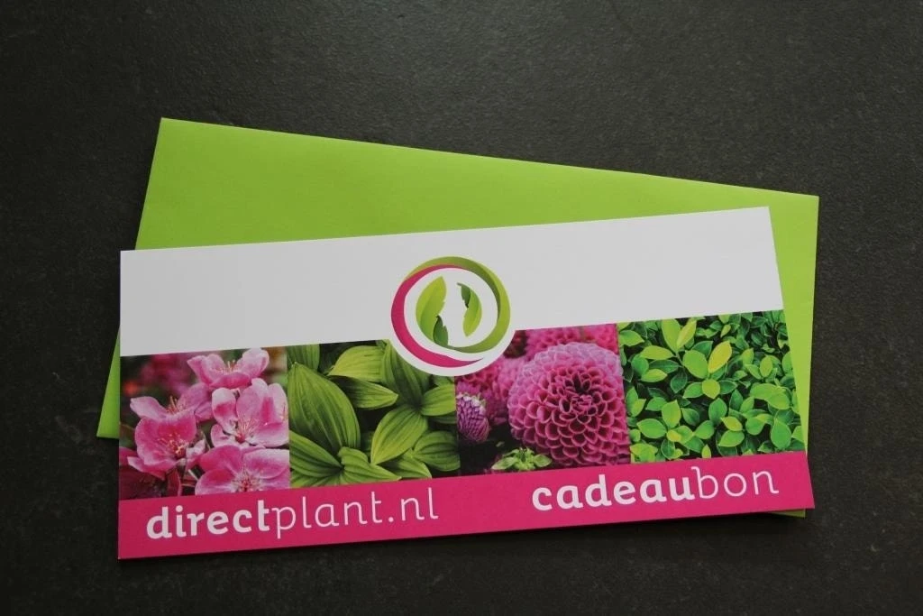 Cadeaubon - Ter Waarde Van 50 Euro 3 Cadeaubon - Ter Waarde Van 50 Euro